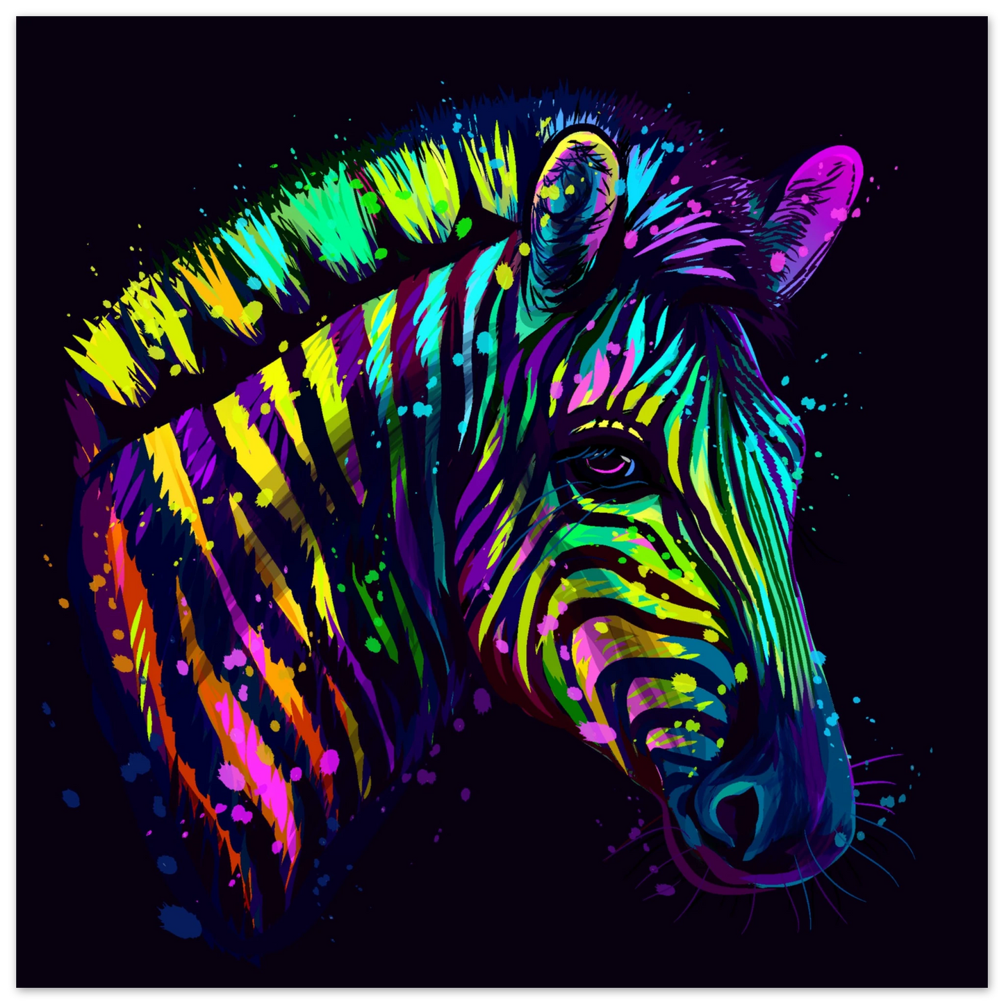 Colorful zebra aluminium printed