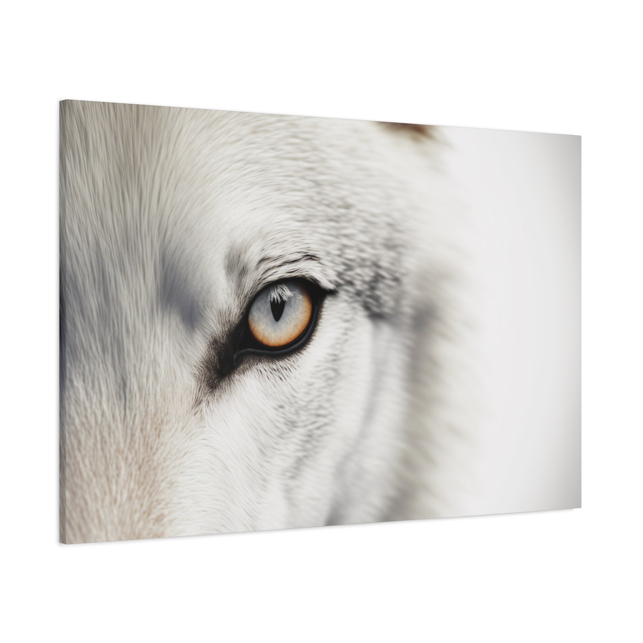 Oeil de Loup - Toile