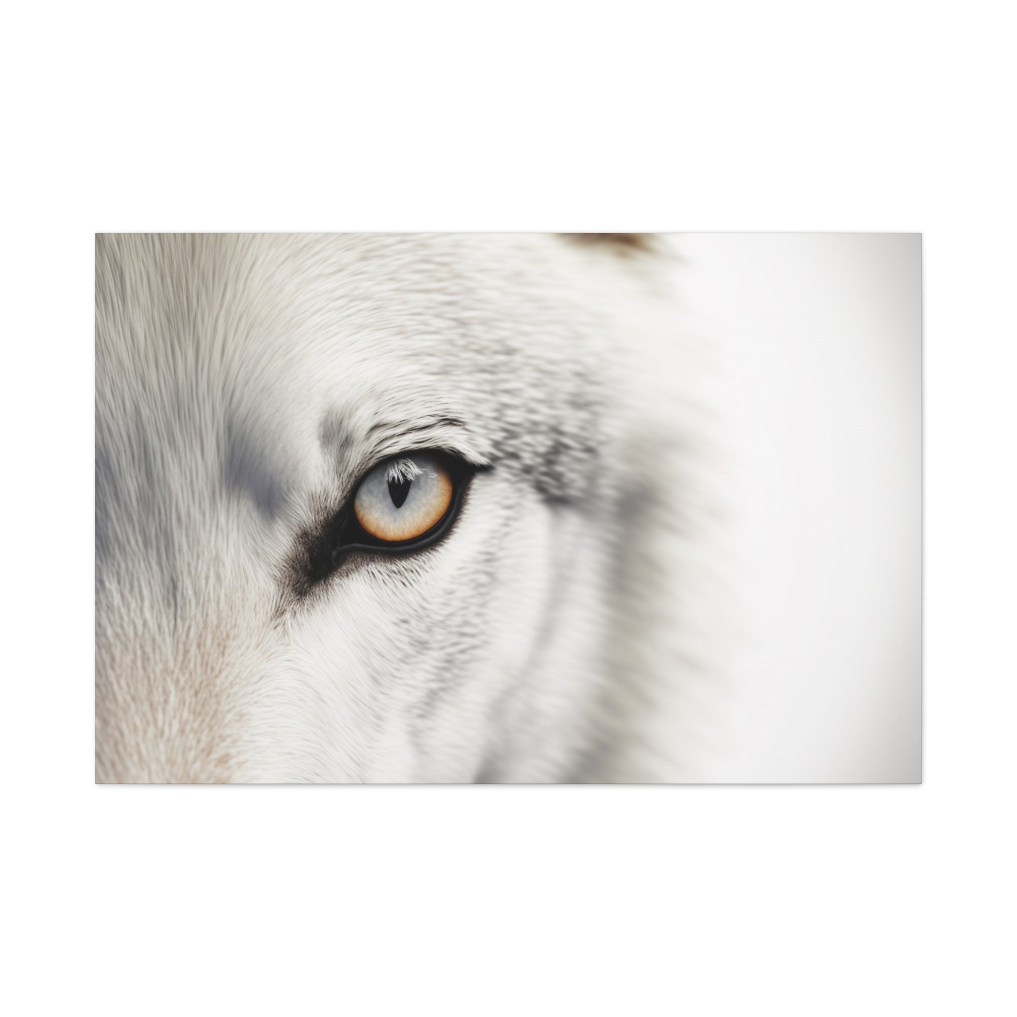 Oeil de Loup - Toile